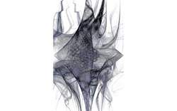 2014 12 15 Shadow Play 046-white.jpg